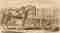 Engraving of a cart placed before a horse, a metaphor for misguided and externally imposed goals.