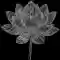Engraving of a lotus flower — symbol of the Eastern approach, classical meditation, and passive contemplation.